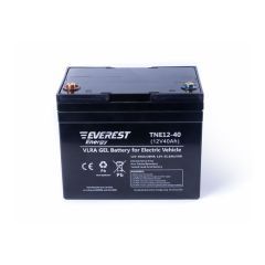 Аккумулятор тяговый Everest Energy TNE 12-40