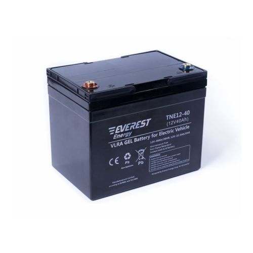 Аккумулятор тяговый Everest Energy TNE 12-40