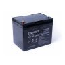 Аккумулятор тяговый Everest Energy TNE 12-40