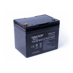 Аккумулятор тяговый Everest Energy TNE 12-40