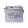 Аккумулятор тяговый Everest Energy TNE 12-170