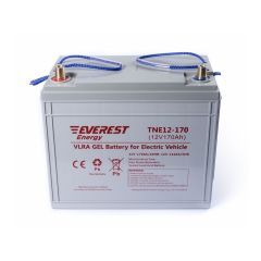 Аккумулятор тяговый Everest Energy TNE 12-170