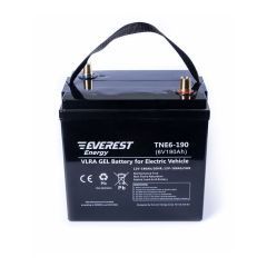 Аккумулятор тяговый Everest Energy TNE 6-190