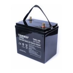 Аккумулятор тяговый Everest Energy TNE 6-190