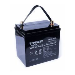 Аккумулятор тяговый Everest Energy TNE 6-190