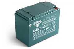 Аккумулятор тяговый RuTrike 6-EVF-45 (12V45A/H C3)