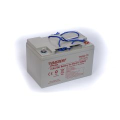 Аккумулятор тяговый Everest Energy TNE 12-75
